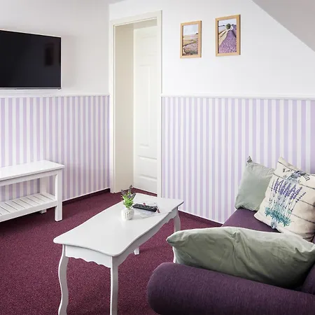 Daire Schloss Gross Luesewitz